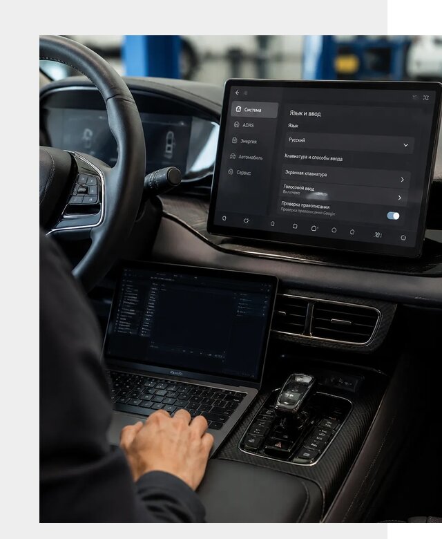 Русификация BYD в Борзе по цене от 15348 р. | ФастМобиль-Бря