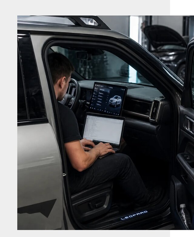 Русификация BYD Leopard 3 в Борзе по цене от 20499 р. | ФастМобиль-Бря