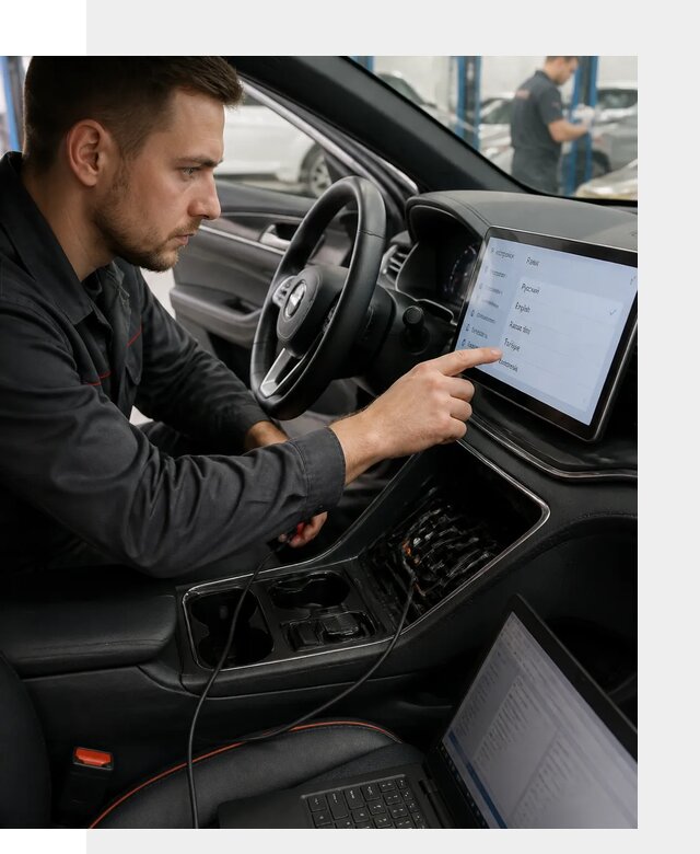 Профессиональная русификация BYD SONG Plus в Борзе